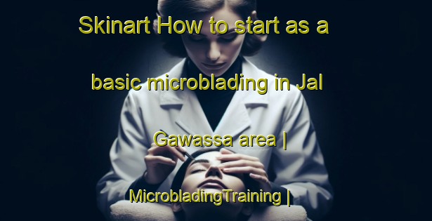 Skinart How to start as a basic microblading in Jal Gawassa area | MicrobladingTraining | MicrobladingClasses | SkinartTraining-Niger